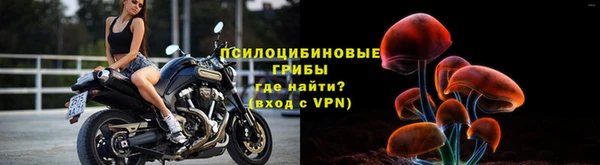 ПСИЛОЦИБИНОВЫЕ ГРИБЫ Зеленокумск