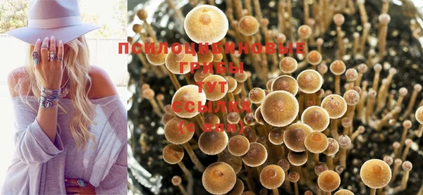 герыч Зерноград