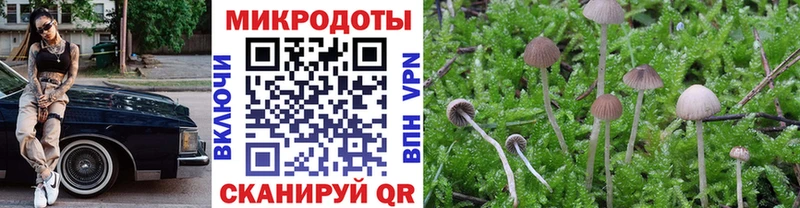 Купить  Мыски  Галлюциногенные грибы Magic Shrooms 